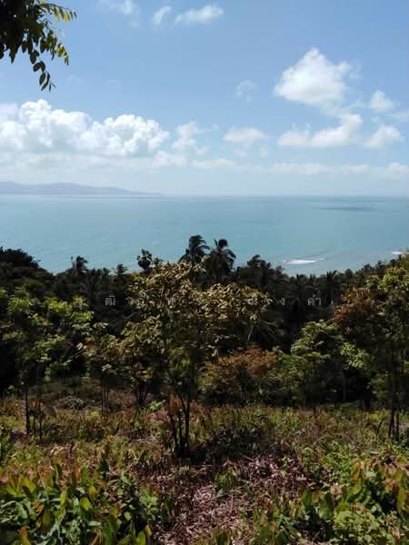 For Sale - Koh Phangan, Surat Thani