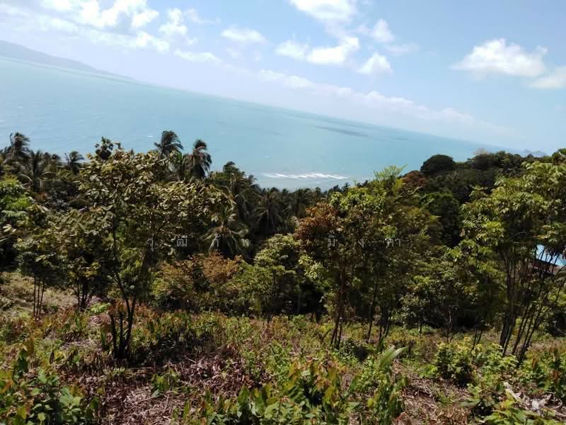 For Sale - Koh Phangan, Surat Thani