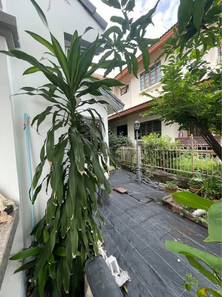 Chaiyaphruek Ramintra : ชัยพฤกษ์ รามอินทรา, กรุงเทพ, ถนนสุขาภิบาล 5, ท่าแร้ง, บางเขน, กรุงเทพ, 200 ตร.ม., บ้านเดี่ยว ขาย, โดย Intouch Abhinorasaeth, 500151591 - DDproperty.com