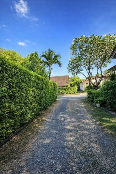 Chalong, Phuket, Chalong, Muang Phuket, Phuket, 2 Bedrooms, 200 sqm, Single Detached House For Rent, by Min Prime, 500151661 - DDproperty.com