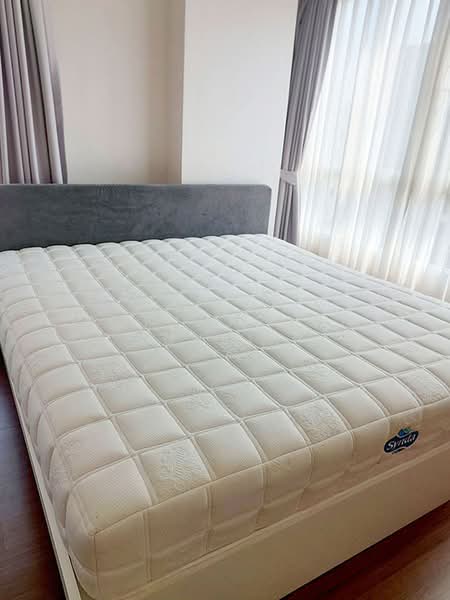 Dcondo Nim, Chiang Mai, 239 Hwy Chiang Mai-Lampang Frontage Road, Fa Ham, Muang Chiang Mai, Chiang Mai, 2 Bedrooms, 60 sqm, Condo For Rent, by Rutchaporn Tunsiri, 500151684 - DDproperty.com