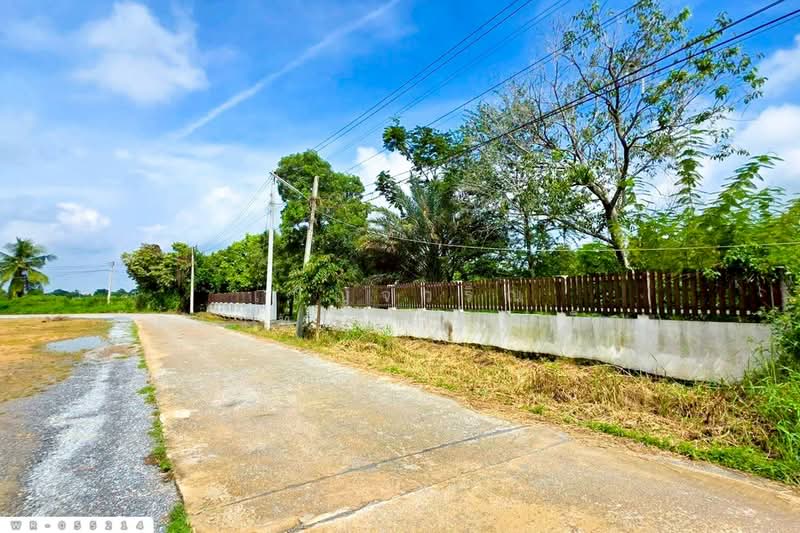 WR-055214 ที่ดินพร้อมสิ่งปลูกสร้างดอนตูม 3 ไร่ 207 ตร.ว. นครปฐม, นครปฐม, ดอนตูม, บางเลน, นครปฐม, 5,628 ตร.ม., ที่ดิน ขาย, โดย เบ็ญจวริณ ภัคเวทพิสิษฐ์(เบ็ญ), 500151824 - DDproperty.com