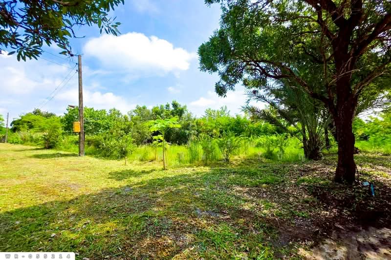 WR-055214 ที่ดินพร้อมสิ่งปลูกสร้างดอนตูม 3 ไร่ 207 ตร.ว. นครปฐม, นครปฐม, ดอนตูม, บางเลน, นครปฐม, 5,628 ตร.ม., ที่ดิน ขาย, โดย เบ็ญจวริณ ภัคเวทพิสิษฐ์(เบ็ญ), 500151824 - DDproperty.com