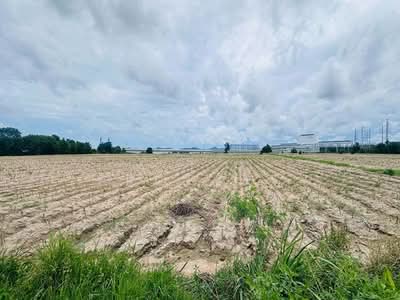 ขาย - ที่ดิน ผังสีม่วงเข้ม มาบยางพร ปลวกแดง ระยอง, ระยอง