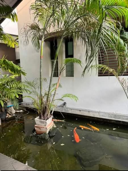 Baan Sasida : บ้าน ศศิดา, กรุงเทพ, 19/1 สุขุมวิท, คลองตัน, คลองเตย, กรุงเทพ, 220 ตร.ม., อพาร์ทเมนท์ ให้เช่า, โดย Pavana Sirikogar, 500152219 - DDproperty.com