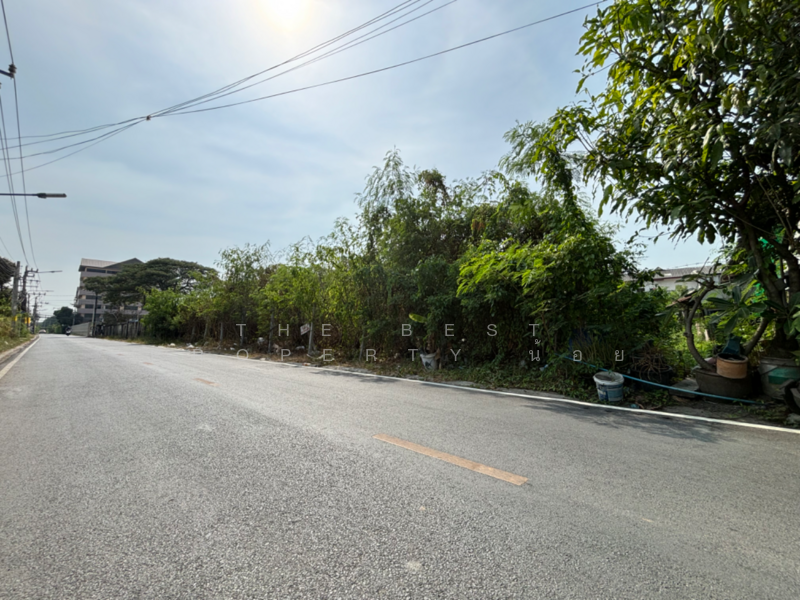 ที่ดินบางพลี สมุทรปราการ, สมุทรปราการ, บางแก้ว, บางพลี, สมุทรปราการ, 1,420 ตร.ม., ที่ดิน ขาย, โดย The Best Property น้อย, 500152322 - DDproperty.com
