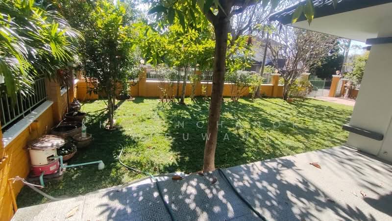 Home In Park, Chiang Mai, Nong Kwai, Hang Dong, Chiang Mai, 4 Bedrooms, 250 sqm, Single Detached House For Rent, by Khamonchanok Aisuwan, 500152396 - DDproperty.com