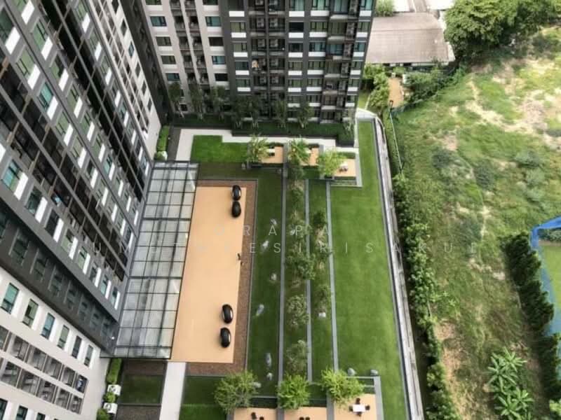Life Asoke, Bangkok, Asoke-Dindang Road, Bang Kapi, Huai Khwang, Bangkok, 1 Bedroom, 35 sqm, Condo For Sale, by Orapa Sumetheesirisakul, 500152437 - DDproperty.com