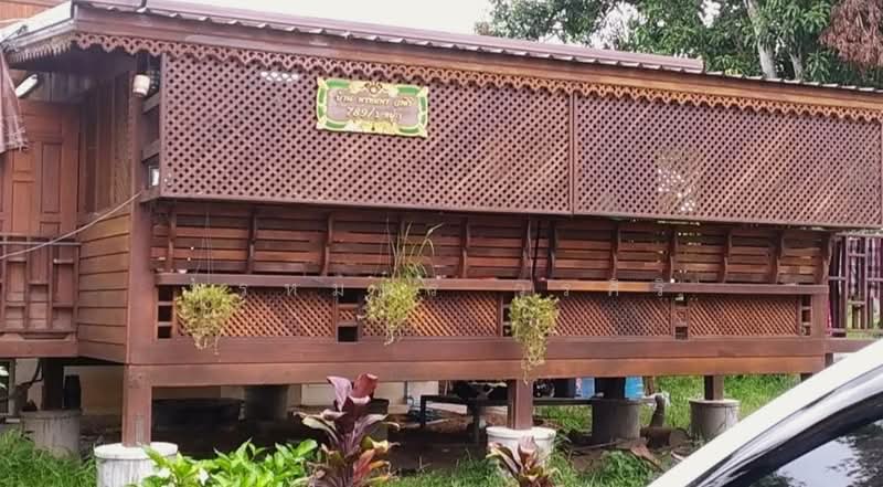 ขาย - ขายที่ดินแปลงใหญ่ 33 ไร่ ใกล้แม่น้ำโขง อ.ศรีเชียงใหม่ จ.หนองคาย, หนองคาย