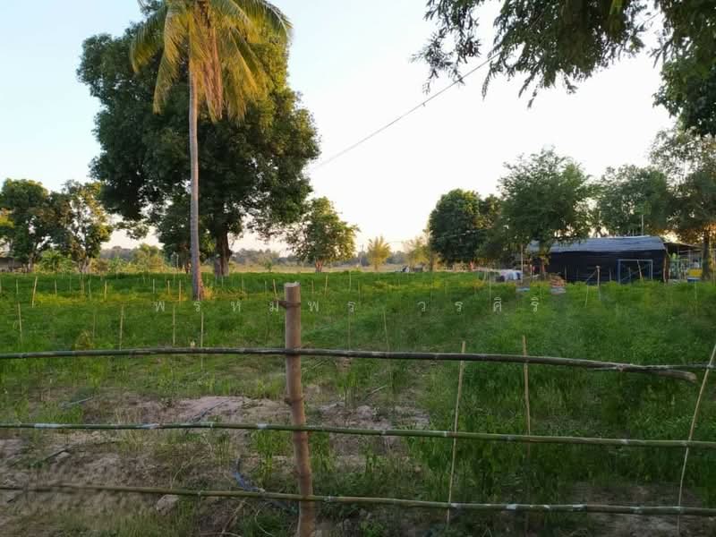 For Sale - ขายที่ดินแปลงใหญ่ 33 ไร่ ใกล้แม่น้ำโขง อ.ศรีเชียงใหม่ จ.หนองคาย, Nong Khai