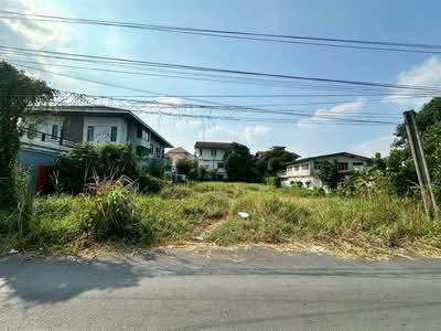 ขาย - ที่ดินเปล่า 211 ตร.ว. ที่ดิน ซอยเทิดราชัน11, กรุงเทพ