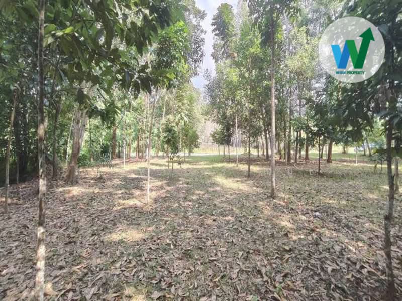 ขายที่ดินใกล้มหาวิทยาลัยทักษินวิทยาเขตพัทลุง, พัทลุง, บายพาสมหาลัยวิทยาลัยทักษิณ, ชะมวง, ควนขนุน, พัทลุง, 1,600 ตร.ม., ที่ดิน ขาย, โดย สุมนทา กรรณนุช, 500152607 - DDproperty.com