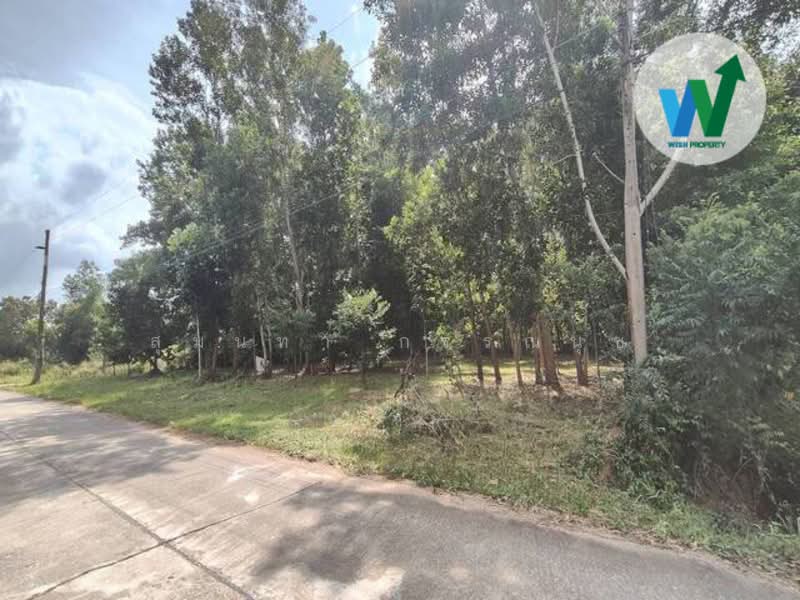 For sale Land At Chamuang KhuanKhanun Phatthalung, Phatthalung, บายพาสมหาลัยวิทยาลัยทักษิณ, Chamuang, Khuan Khanun, Phatthalung, , 1,600 sqm, Land For Sale, by สุมนทา กรรณนุช, 500152607 - DDproperty.com