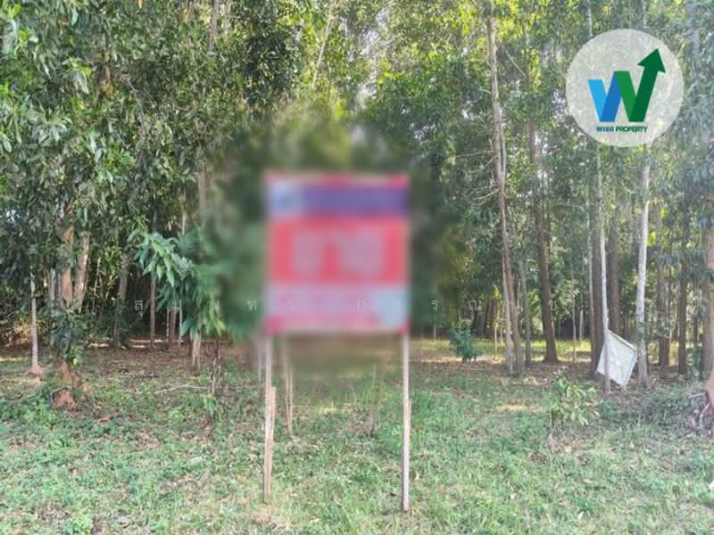 ขายที่ดินใกล้มหาวิทยาลัยทักษินวิทยาเขตพัทลุง, พัทลุง, บายพาสมหาลัยวิทยาลัยทักษิณ, ชะมวง, ควนขนุน, พัทลุง, 1,600 ตร.ม., ที่ดิน ขาย, โดย สุมนทา กรรณนุช, 500152607 - DDproperty.com