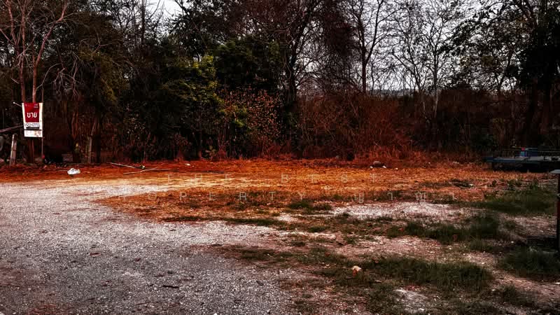 ที่ดินปากแพรก กาญจนบุรี, Kanchanaburi, Pak Phraek, Muang Kanchanaburi, Kanchanaburi, , 320 sqm, Land For Sale, by The Best Property ญาญ่า, 500152735 - DDproperty.com