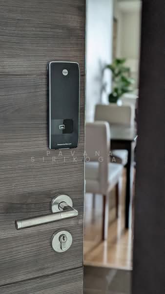 Focus Ploenchit, Bangkok, Soi Sukhumvit 2, Khlong Toei, Khlong Toei, Bangkok, 1 Bedroom, 48 sqm, Condo For Rent, by Pavana Sirikogar, 500152758 - DDproperty.com