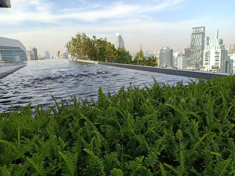 Life One Wireless, Bangkok, 1 Wireless Road, Lumphini, Pathum Wan, Bangkok, 1 Bedroom, 28 sqm, Condo For Rent, by Pavana Sirikogar, 500152811 - DDproperty.com