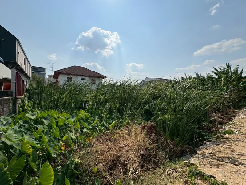 ที่ดินเปล่านนทบุรี ซอยเรวดี 8, Nonthaburi, Talat Kwan, Muang Nonthaburi, Nonthaburi, , 600 sqm, Land For Sale, by KHUN H-DO, 500152885 - DDproperty.com