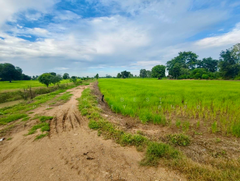 ที่ดินท่าตะโก นครสวรรค์, Nakhon Sawan, Sai Lamphong, Tha Tako, Nakhon Sawan, , 16,000 sqm, Land For Sale, by The Best Property  ต้นอ้อ, 500152888 - DDproperty.com