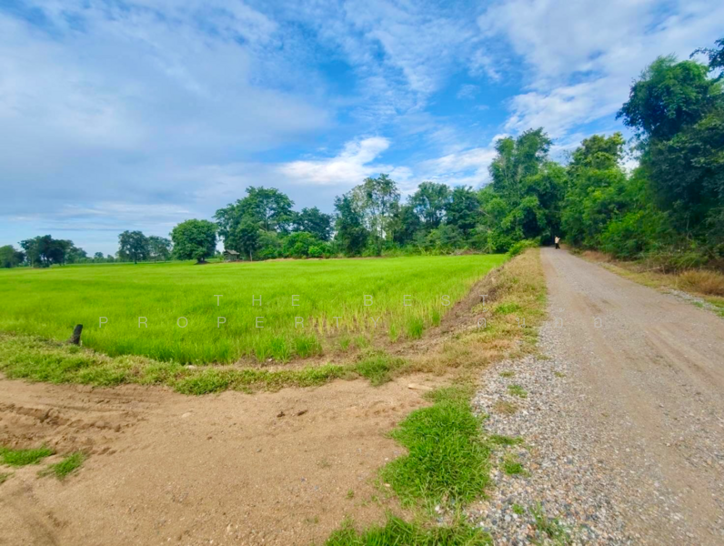 ที่ดินท่าตะโก นครสวรรค์, นครสวรรค์, สายลำโพง, ท่าตะโก, นครสวรรค์, 16,000 ตร.ม., ที่ดิน ขาย, โดย The Best Property  ต้นอ้อ, 500152888 - DDproperty.com