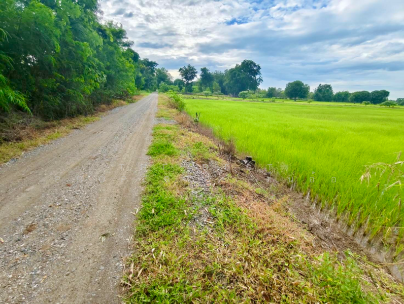 ที่ดินท่าตะโก นครสวรรค์, Nakhon Sawan, Sai Lamphong, Tha Tako, Nakhon Sawan, , 16,000 sqm, Land For Sale, by The Best Property  ต้นอ้อ, 500152888 - DDproperty.com