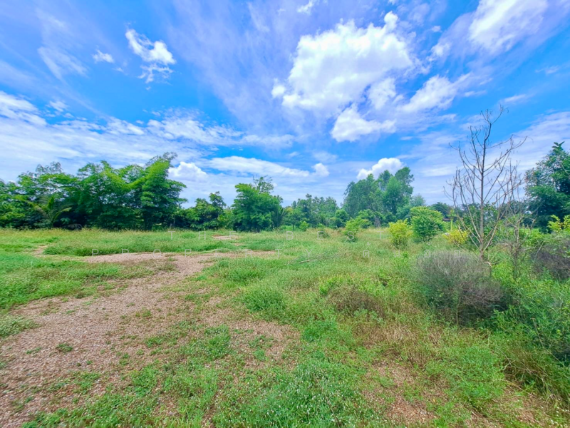 บ้านเดี่ยวพร้อมที่ดินเนินขาม ชัยนาท, Chai Nat, Noen Kham, Noen Kham, Chai Nat, 1 Bedroom, 100 sqm, Single Detached House For Sale, by The Best Property ต้นอ้อ, 500152928 - DDproperty.com