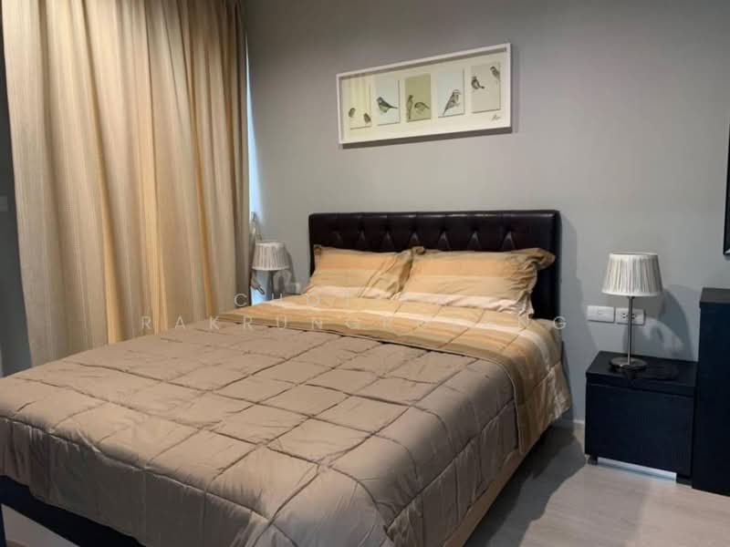 Rhythm Sukhumvit 44/1, Bangkok, Sukhumvit Road, Phra Kanong, Khlong Toei, Bangkok, 1 Bedroom, 35 sqm, Condo For Rent, by Chotika Rakrungrueang, 500152993 - DDproperty.com