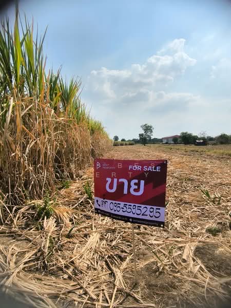 ที่ดินศรีเทพ เพชรบูรณ์, Phetchabun, Khok Sa-at, Si Thep, Phetchabun, , 32,344 sqm, Land For Sale, by The Best Property ตั๊ก, 500153026 - DDproperty.com