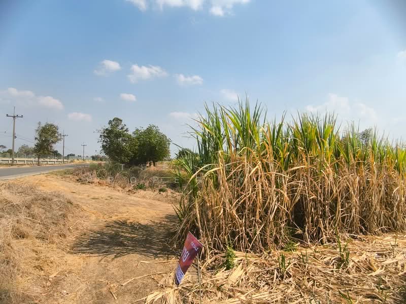 ที่ดินศรีเทพ เพชรบูรณ์, Phetchabun, Khok Sa-at, Si Thep, Phetchabun, , 32,344 sqm, Land For Sale, by The Best Property ตั๊ก, 500153026 - DDproperty.com