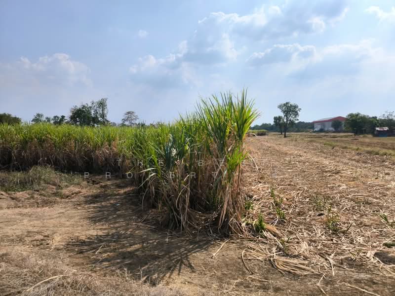 ที่ดินศรีเทพ เพชรบูรณ์, Phetchabun, Khok Sa-at, Si Thep, Phetchabun, , 32,344 sqm, Land For Sale, by The Best Property ตั๊ก, 500153026 - DDproperty.com