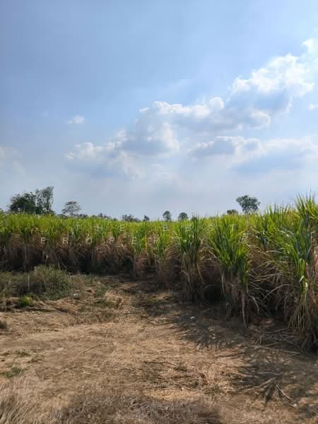 ที่ดินศรีเทพ เพชรบูรณ์, Phetchabun, Khok Sa-at, Si Thep, Phetchabun, , 32,344 sqm, Land For Sale, by The Best Property ตั๊ก, 500153026 - DDproperty.com