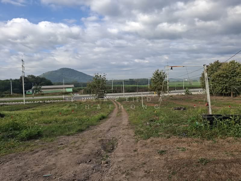 Land for Sale – Subdivided Plots or Whole Lot | Prime Location on Maliwan Road, Loei, Si Songkram, Wang Saphung, Loei, , 12,400 sqm, Land For Sale, by Kulapeeda Thathong, 500153080 - DDproperty.com