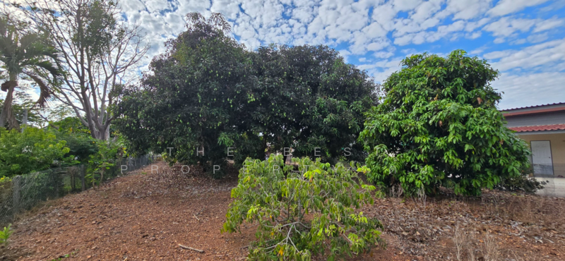 ที่ดินแกลง ระยอง, Rayong, Klaeng, Muang Rayong, Rayong, , 1,220 sqm, Land For Sale, by The Best Property ต้น, 500153099 - DDproperty.com