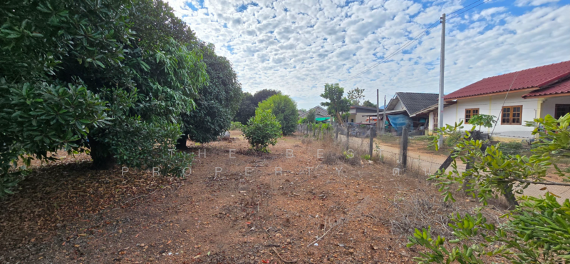 ที่ดินแกลง ระยอง, Rayong, Klaeng, Muang Rayong, Rayong, , 1,220 sqm, Land For Sale, by The Best Property ต้น, 500153099 - DDproperty.com