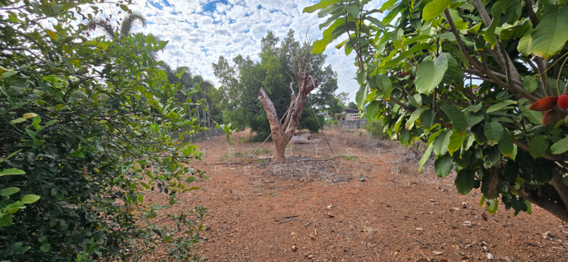 ที่ดินแกลง ระยอง, ระยอง, แกลง, เมืองระยอง, ระยอง, 1,220 ตร.ม., ที่ดิน ขาย, โดย The Best Property ต้น, 500153099 - DDproperty.com