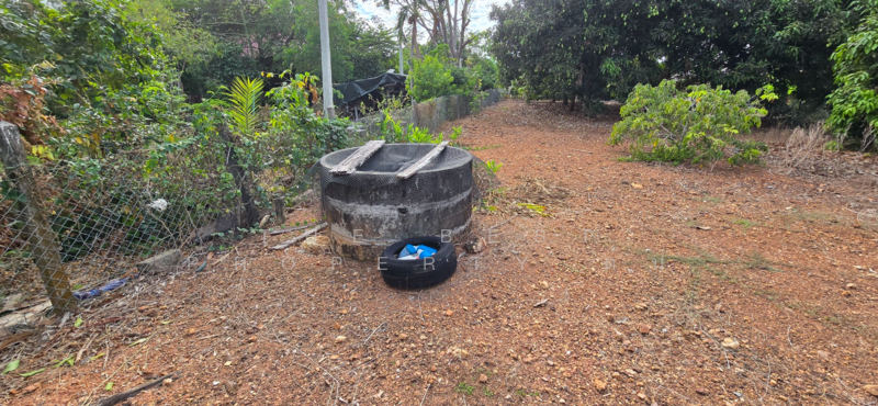 ที่ดินแกลง ระยอง, Rayong, Klaeng, Muang Rayong, Rayong, , 1,220 sqm, Land For Sale, by The Best Property ต้น, 500153099 - DDproperty.com