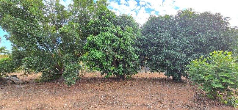 ที่ดินแกลง ระยอง, ระยอง, แกลง, เมืองระยอง, ระยอง, 1,220 ตร.ม., ที่ดิน ขาย, โดย The Best Property ต้น, 500153099 - DDproperty.com