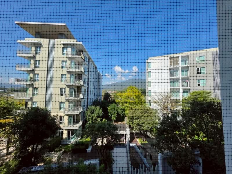 Serene Lake North 2, Chiang Mai, Su Thep, Muang Chiang Mai, Chiang Mai, 1 Bedroom, 35 sqm, Condo For Rent, by Koi Yanawee, 500153216 - DDproperty.com