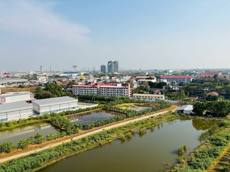 Lumpini Mega City Bangna, Samut Prakan, Bang Na-Trat Frontage Rd, Bang Kaeo, Bang Plee, Samut Prakan, 1 Bedroom, 23 sqm, Condo For Rent, by คุณ ภัทรานิษฐ์, 500153294 - DDproperty.com