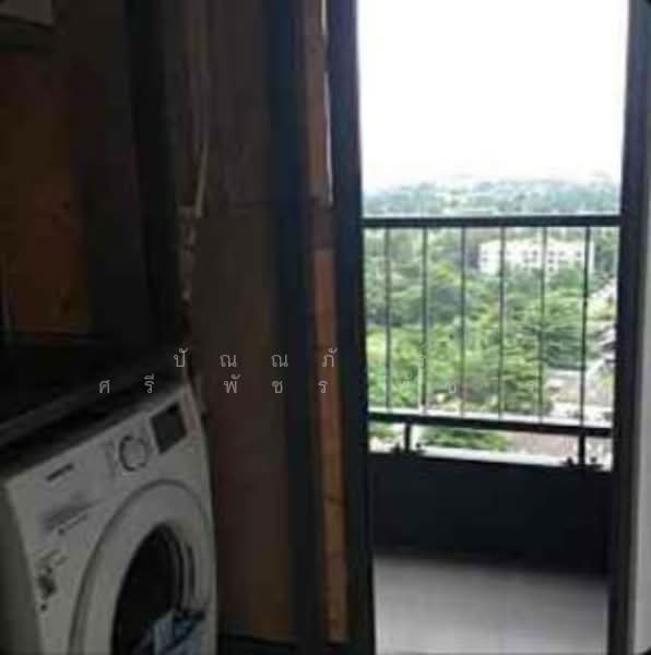 IDEO MOBI Sukhumvit Eastgate : ไอดีโอ โมบิ สุขุมวิท อีสท์เกต, กรุงเทพ, 4371 สุขุมวิท, บางนา, บางนา, กรุงเทพ, 21 ตร.ม., คอนโด ให้เช่า, โดย ปัณณภัสร์ ศรีพัชรพัชร์, 500153370 - DDproperty.com