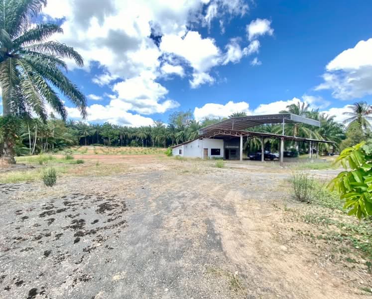 ที่ดินคลองท่อม กระบี่, Krabi, Khlong Thom Tai, Khlong Thom, Krabi, , 9,272 sqm, Land For Sale, by The Best Property แจ๊ส, 500153531 - DDproperty.com