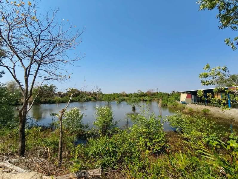 ที่ดินเกาะขวาง จันทบุรี, Chanthaburi, Ko Khwang, Muang Chanthaburi, Chanthaburi, , 4,100 sqm, Land For Sale, by The Best Property หยก, 500153566 - DDproperty.com