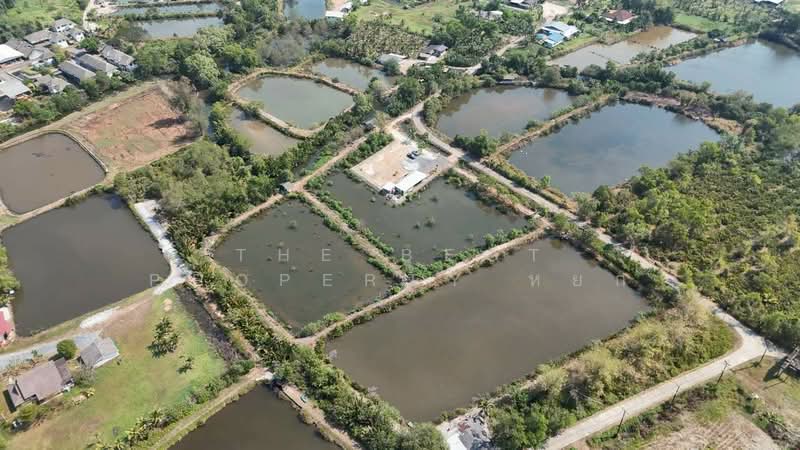 ที่ดินเกาะขวาง จันทบุรี, Chanthaburi, Ko Khwang, Muang Chanthaburi, Chanthaburi, , 4,100 sqm, Land For Sale, by The Best Property หยก, 500153566 - DDproperty.com