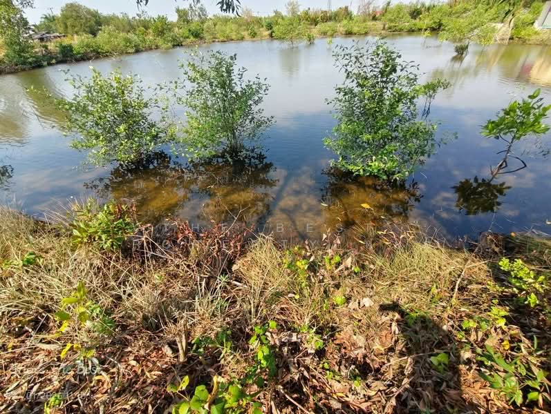 ที่ดินเกาะขวาง จันทบุรี, Chanthaburi, Ko Khwang, Muang Chanthaburi, Chanthaburi, , 4,100 sqm, Land For Sale, by The Best Property หยก, 500153566 - DDproperty.com