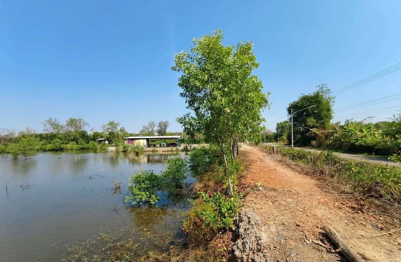 ที่ดินเกาะขวาง จันทบุรี, Chanthaburi, Ko Khwang, Muang Chanthaburi, Chanthaburi, , 4,100 sqm, Land For Sale, by The Best Property หยก, 500153566 - DDproperty.com