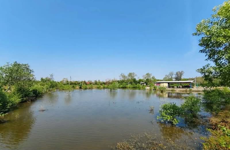 ที่ดินเกาะขวาง จันทบุรี, Chanthaburi, Ko Khwang, Muang Chanthaburi, Chanthaburi, , 4,100 sqm, Land For Sale, by The Best Property หยก, 500153566 - DDproperty.com