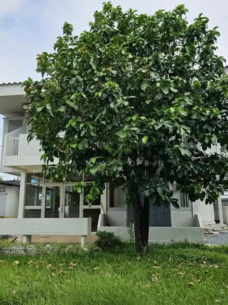 บ้าน 4-ห้องนอน, กรุงเทพ, ลาดพร้าว, ลาดพร้าว, กรุงเทพ, 800 ตร.ม., บ้านเดี่ยว ให้เช่า, โดย Tanaporn Phumvilairak, 500153576 - DDproperty.com