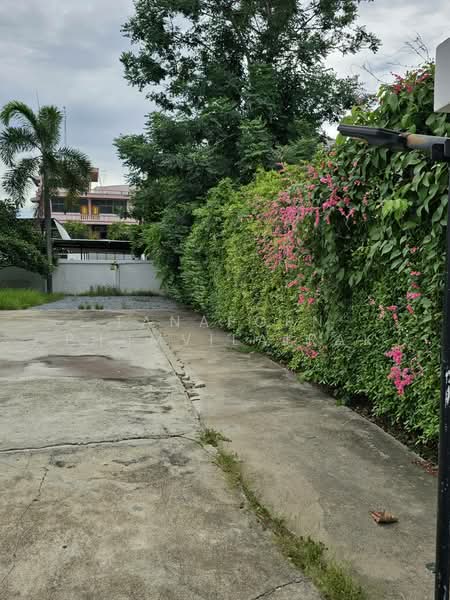 บ้าน 4-ห้องนอน, กรุงเทพ, ลาดพร้าว, ลาดพร้าว, กรุงเทพ, 800 ตร.ม., บ้านเดี่ยว ให้เช่า, โดย Tanaporn Phumvilairak, 500153576 - DDproperty.com