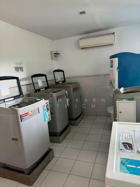 My Condo Sukhumvit 81 : มายคอนโด สุขุมวิท81, กรุงเทพ, ซอยสุขุมวิท 81 ถนนสุขุมวิท, บางจาก, พระโขนง, กรุงเทพ, 30 ตร.ม., คอนโด ขาย, โดย Nitchakarn Wanitwichakornkit , 500153726 - DDproperty.com