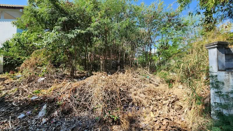 Land for Sale Near the Beach – Prime Location on Naeb Kehardt Road, Hua Hin. Rare Small Plot, Ideal, Prachuap Khiri Khan, แนบเคหาสน์, Hua Hin, Hua Hin, Prachuap Khiri Khan, , 340 sqm, Land For Sale, by Chuanpit Tongmanee, 500153858 - DDproperty.com